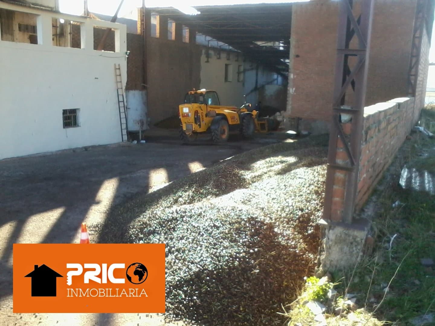 Imagen 8