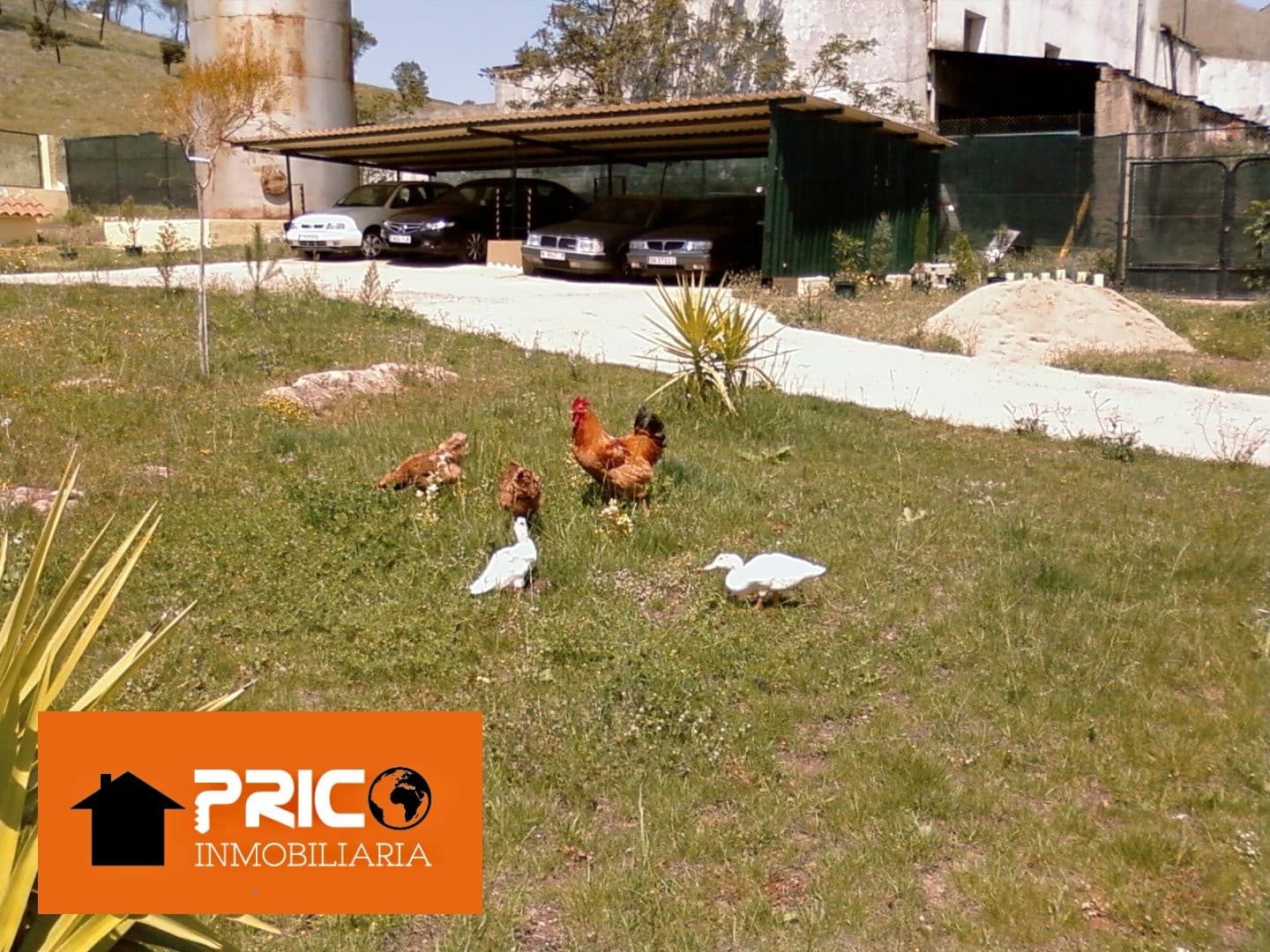 Imagen 4