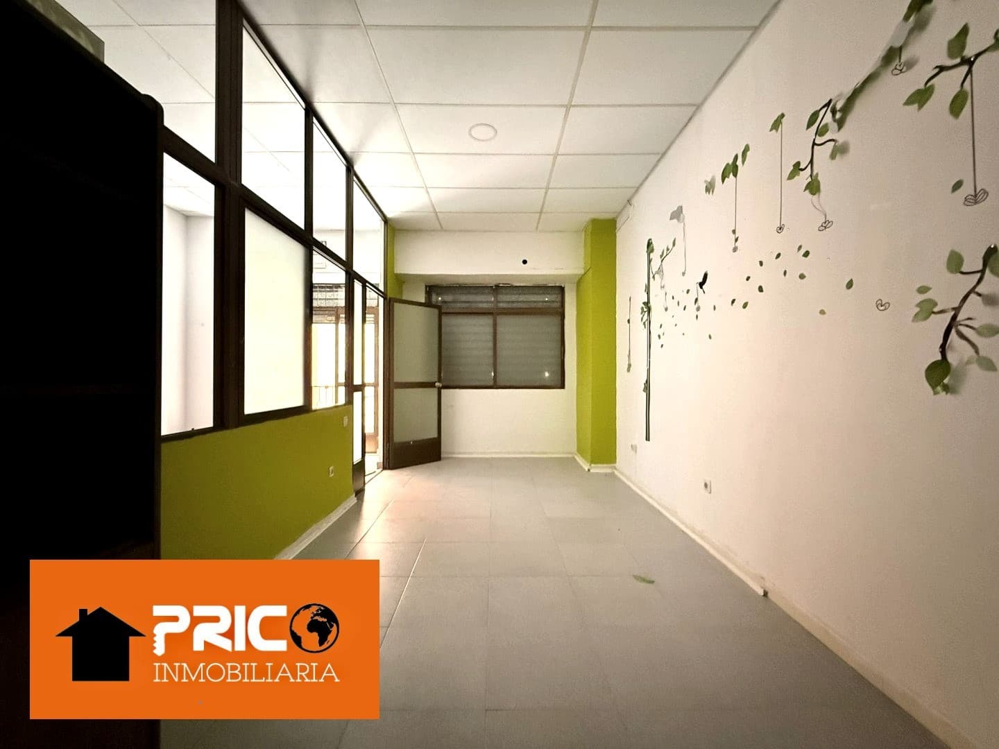Imagen 6